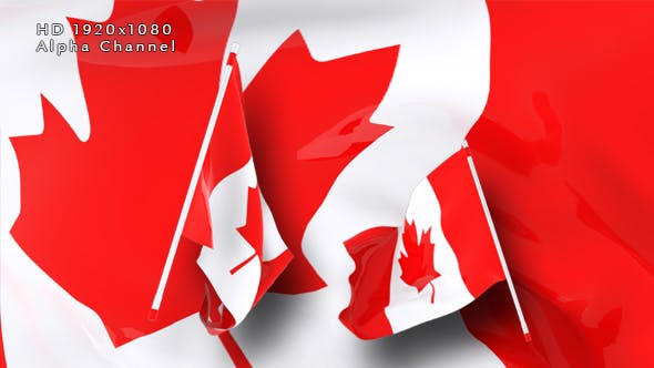 Flag Transition Canada - 13467830 Download Videohive
