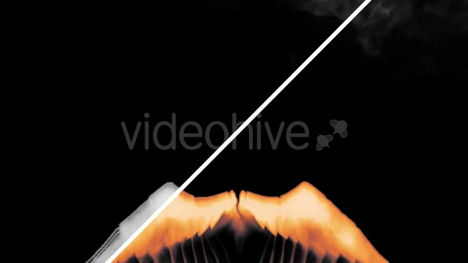 Flame Wings Videohive 21127222 Motion Graphics Image 8