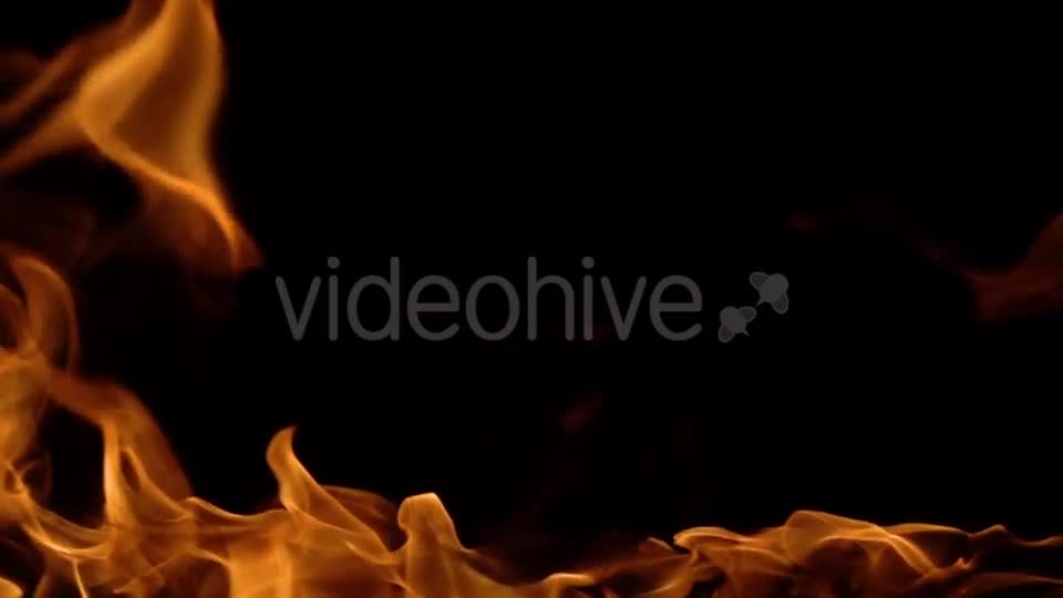 Flames of Fire on Black Background Videohive 20464900 Motion Graphics Image 1