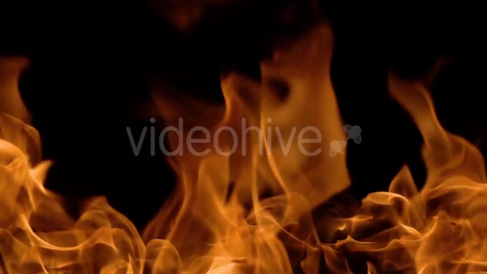 Flames of Fire on Black Background Videohive 20464900 Motion Graphics Image 2