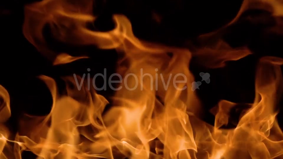 Flames of Fire on Black Background Videohive 20464900 Motion Graphics Image 3