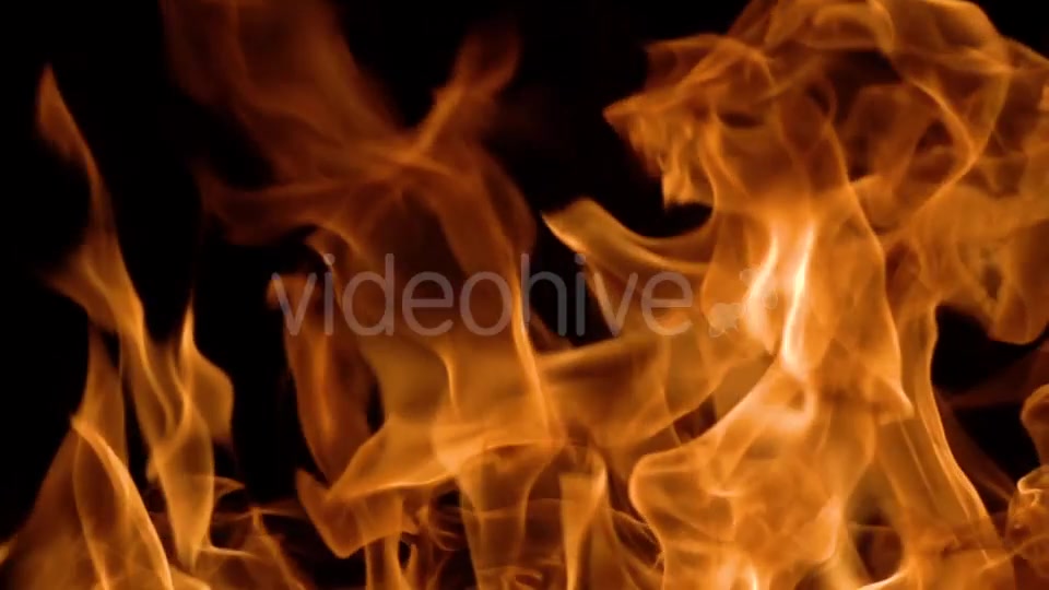 Flames of Fire on Black Background Videohive 20464900 Motion Graphics Image 4