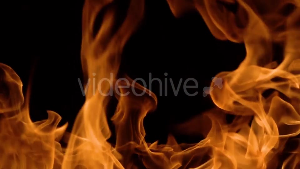 Flames of Fire on Black Background Videohive 20464900 Motion Graphics Image 5