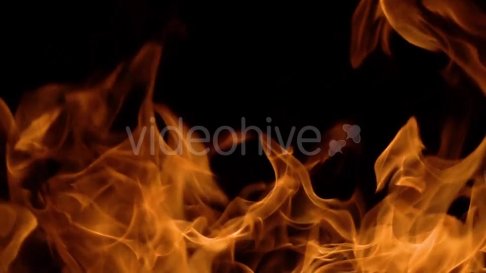 Flames of Fire on Black Background Videohive 20464900 Motion Graphics Image 6