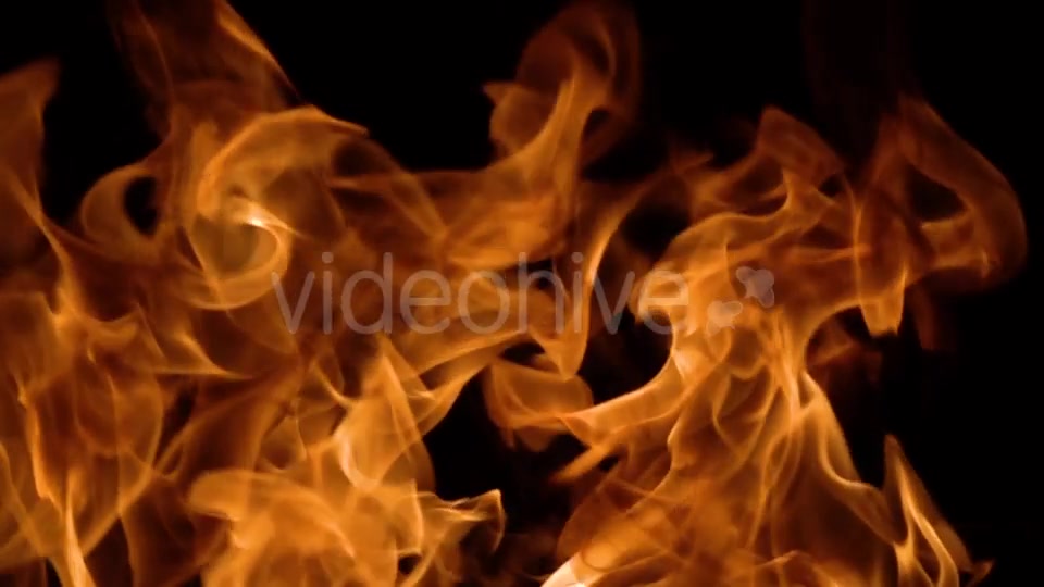 Flames of Fire on Black Background Videohive 20464900 Motion Graphics Image 7
