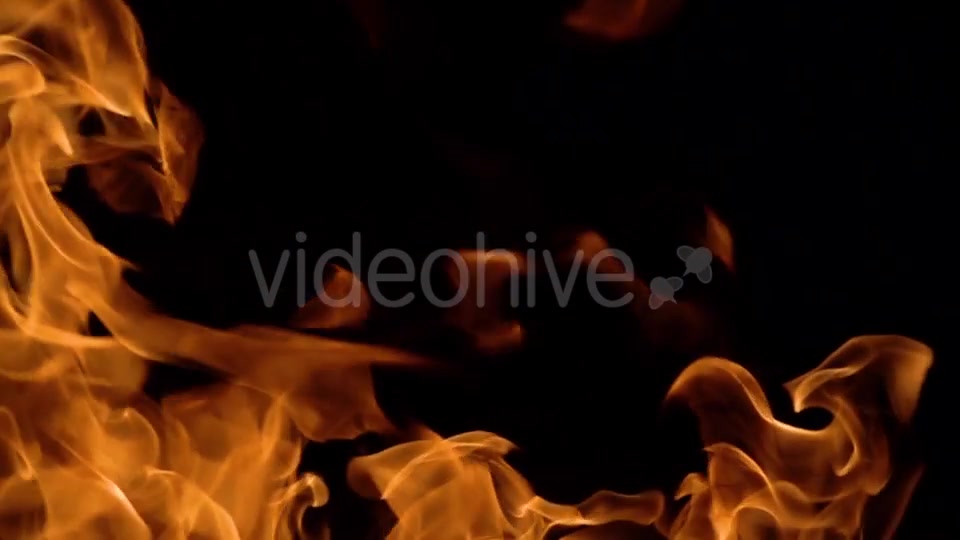 Flames of Fire on Black Background Videohive 20464900 Motion Graphics Image 8