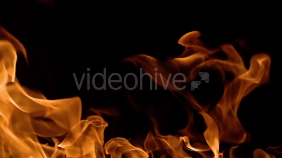 Flames of Fire on Black Background Videohive 20464900 Motion Graphics Image 9