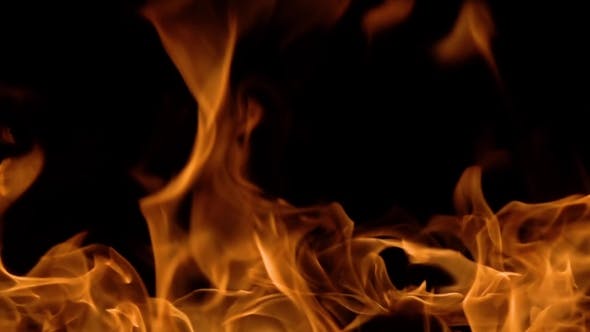 Flames of Fire on Black Background - 20464900 Videohive Download