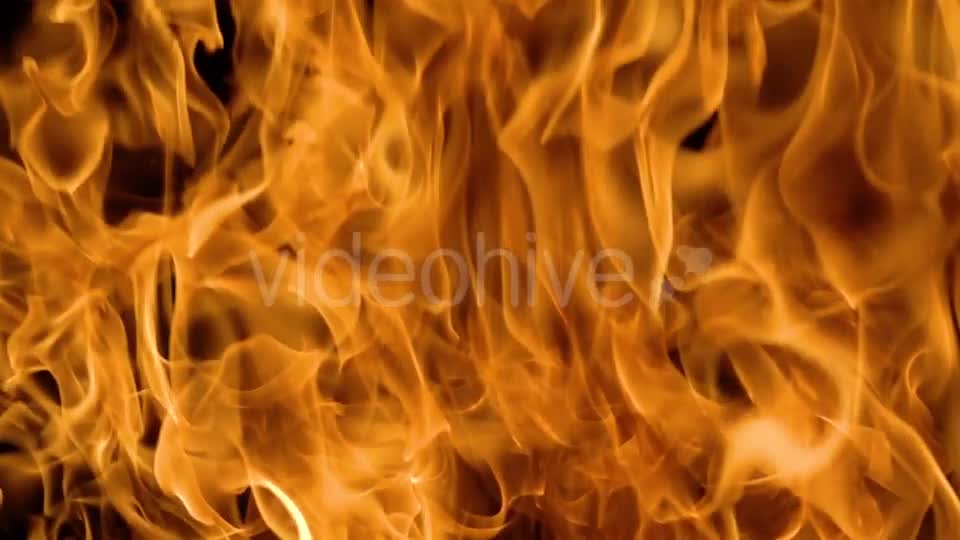 Flames of Fire on Black Background Videohive 19892976 Motion Graphics Image 1