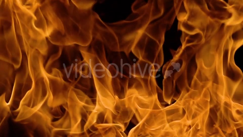 Flames of Fire on Black Background Videohive 19892976 Motion Graphics Image 10
