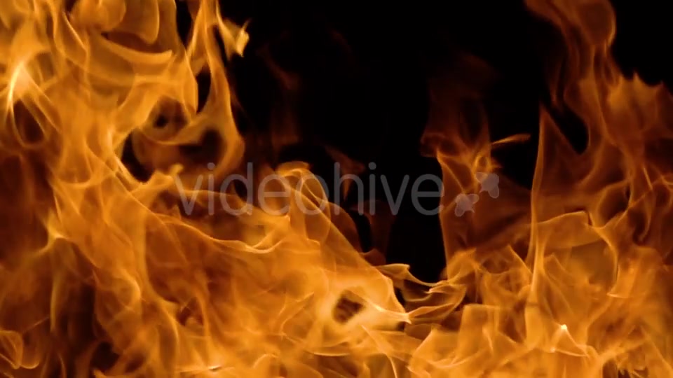 Flames of Fire on Black Background Videohive 19892976 Motion Graphics Image 11