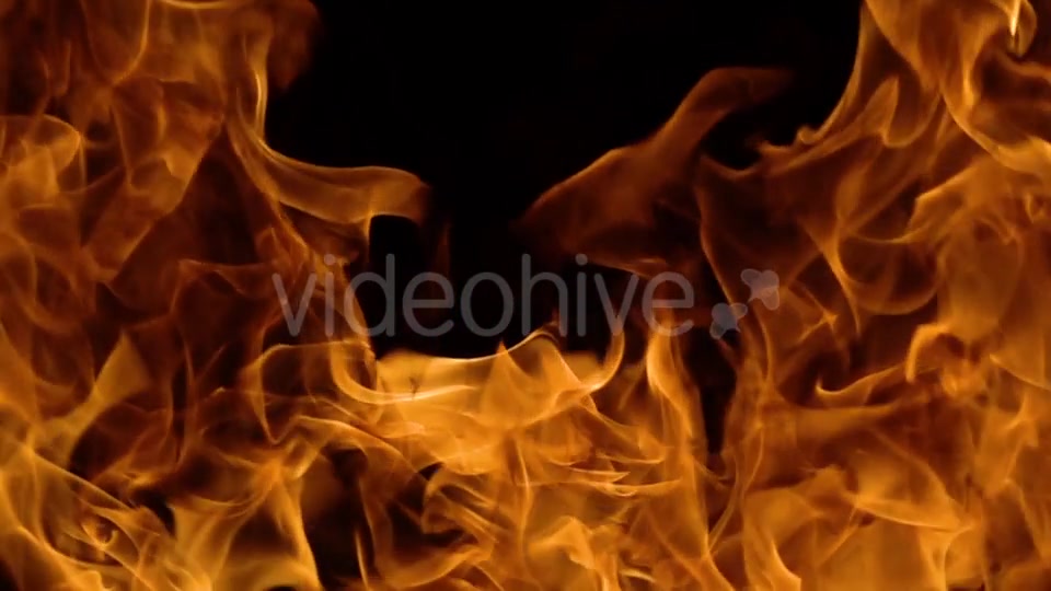 Flames of Fire on Black Background Videohive 19892976 Motion Graphics Image 12