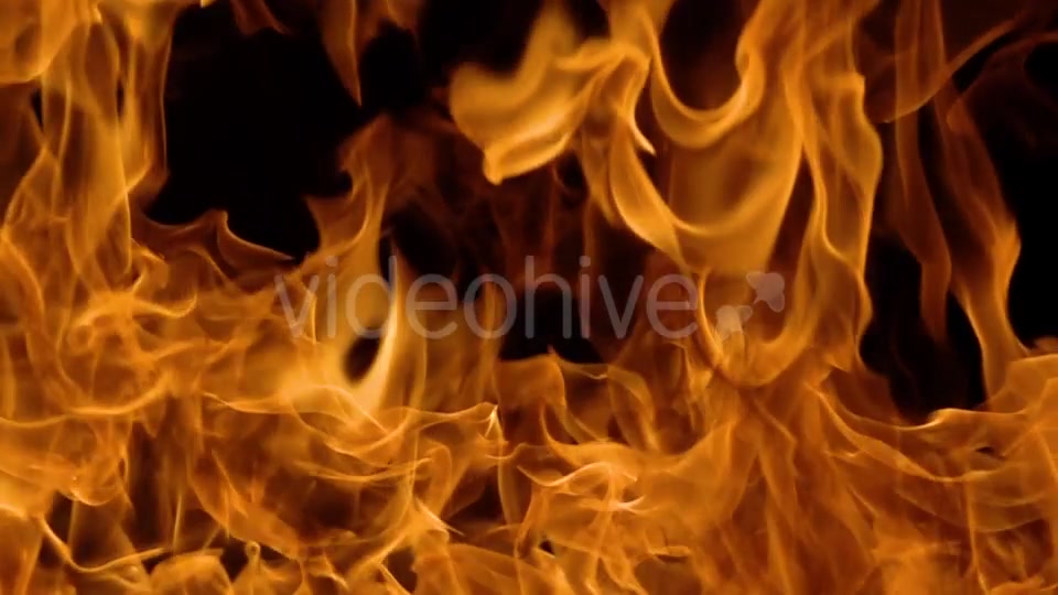 Flames of Fire on Black Background Videohive 19892976 Motion Graphics Image 13