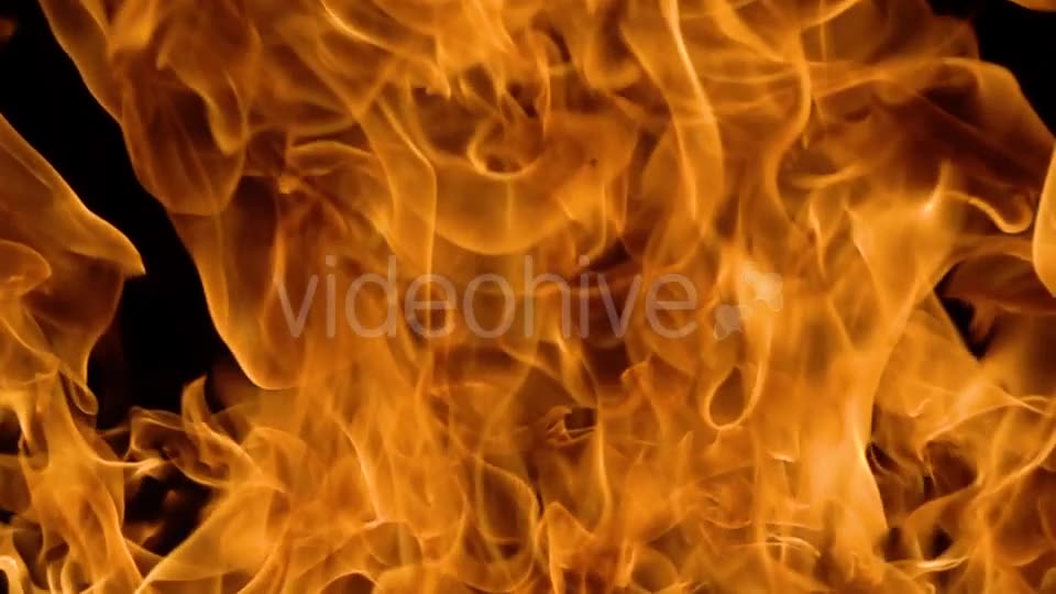 Flames of Fire on Black Background Videohive 19892976 Motion Graphics Image 2