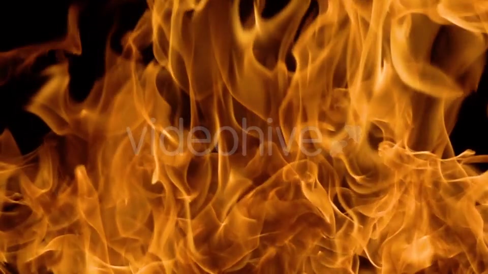 Flames of Fire on Black Background Videohive 19892976 Motion Graphics Image 3