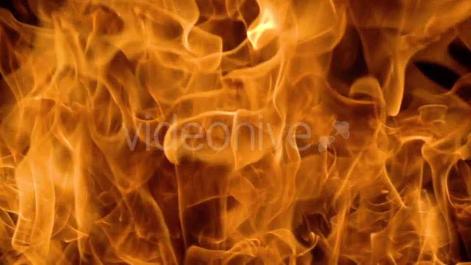 Flames of Fire on Black Background Videohive 19892976 Motion Graphics Image 4