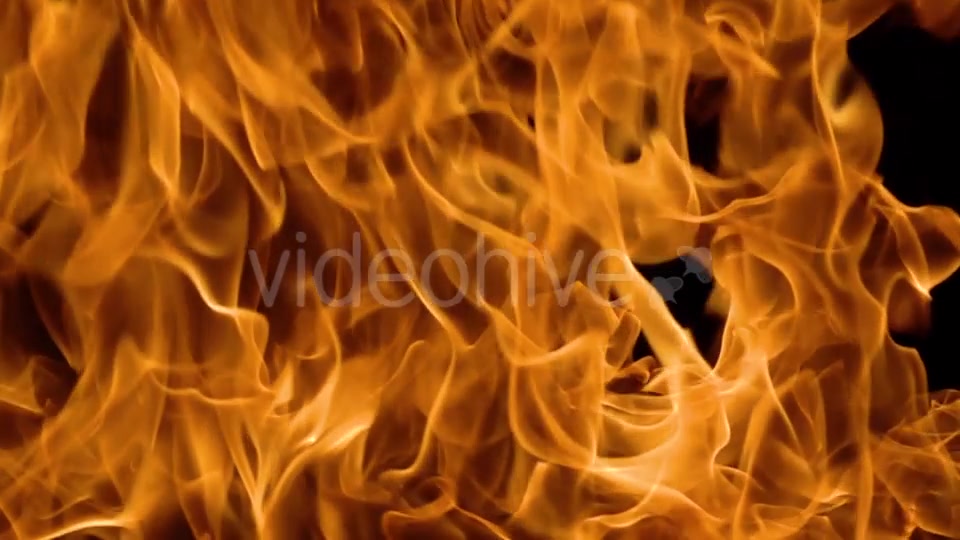 Flames of Fire on Black Background Videohive 19892976 Motion Graphics Image 5