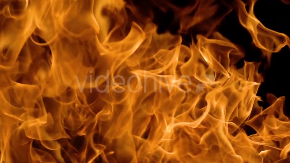 Flames of Fire on Black Background Videohive 19892976 Motion Graphics Image 6