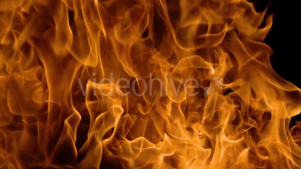Flames of Fire on Black Background Videohive 19892976 Motion Graphics Image 7