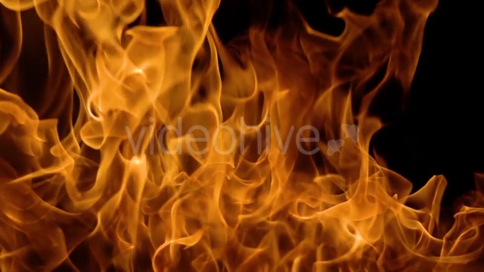 Flames of Fire on Black Background Videohive 19892976 Motion Graphics Image 8