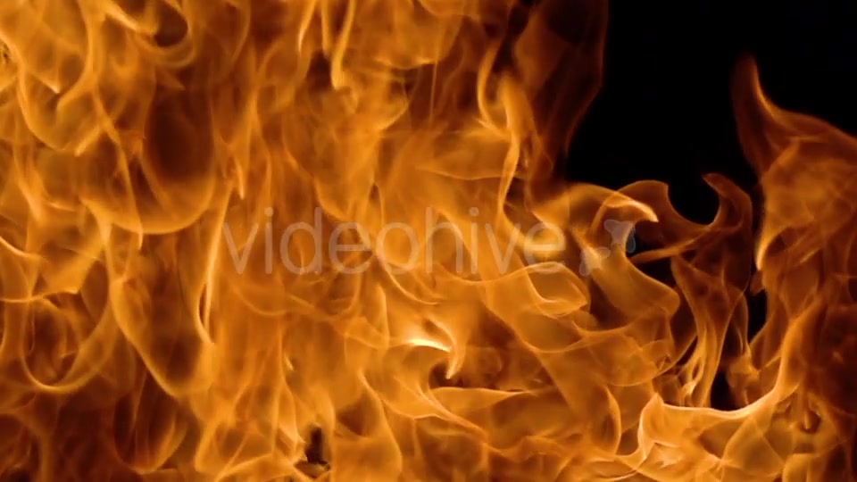 Flames of Fire on Black Background Videohive 19892976 Motion Graphics Image 9