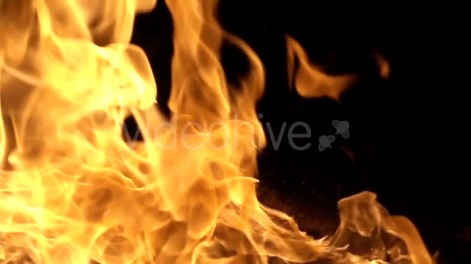 Flames of Fire on Black Background in Videohive 20177015 Motion Graphics Image 1