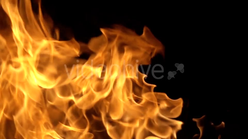 Flames of Fire on Black Background in Videohive 20177015 Motion Graphics Image 11