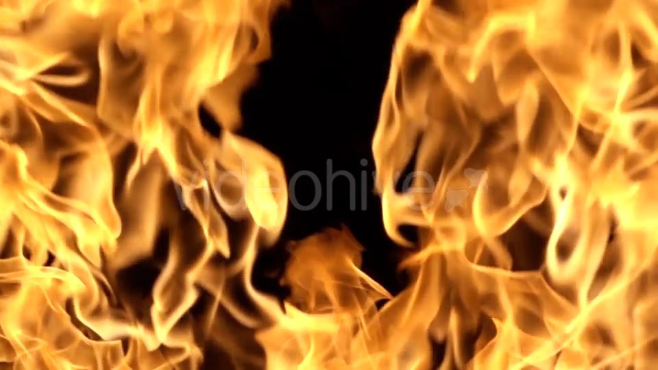 Flames of Fire on Black Background in Videohive 20177015 Motion Graphics Image 7