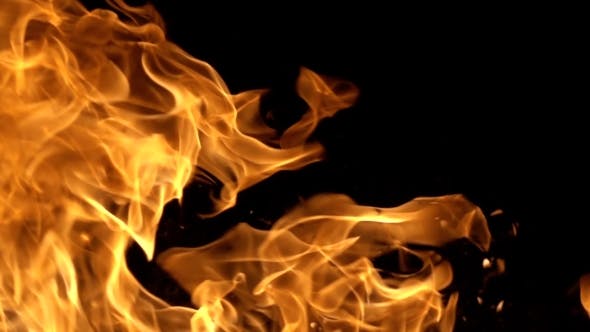 Flames of Fire on Black Background in - 20177015 Videohive Download