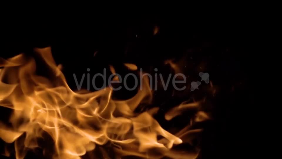 Flames of Fire on Black Background in Videohive 20445759 Motion Graphics Image 1
