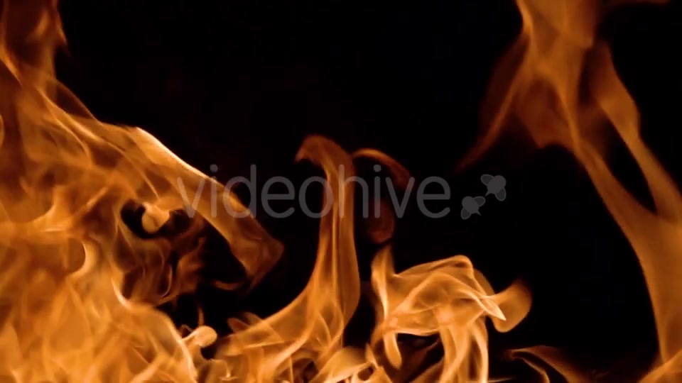 Flames of Fire on Black Background in Videohive 20445759 Motion Graphics Image 11