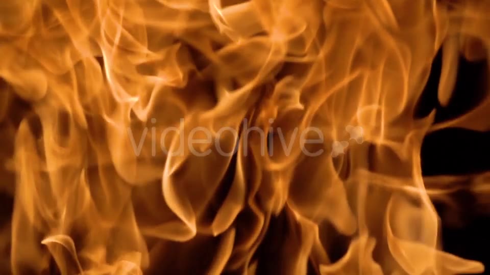 Flames of Fire on Black Background in Videohive 20445759 Motion Graphics Image 2