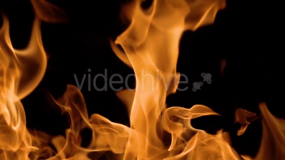 Flames of Fire on Black Background in Videohive 20445759 Motion Graphics Image 3