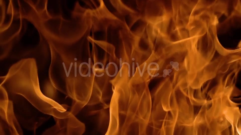 Flames of Fire on Black Background in Videohive 20445759 Motion Graphics Image 7
