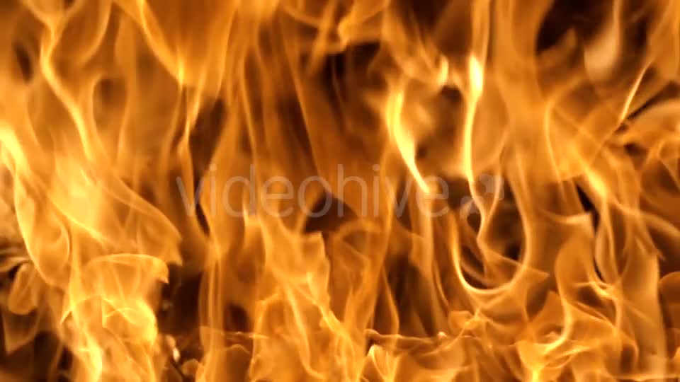 Flames of Fire on Black Background in Videohive 20316095 Motion Graphics Image 1