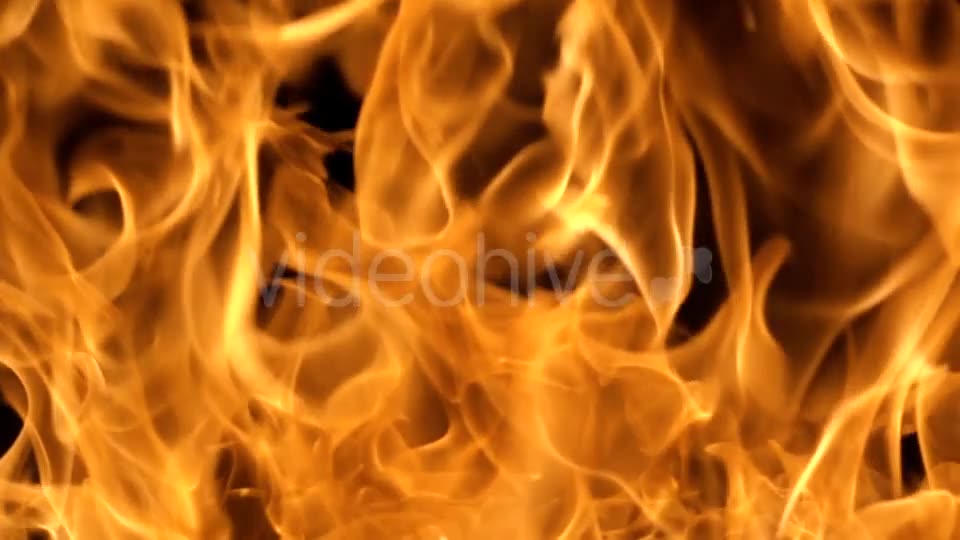Flames of Fire on Black Background in Videohive 20316095 Motion Graphics Image 2