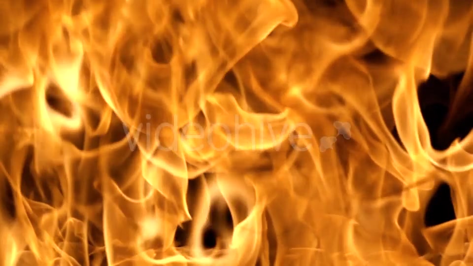 Flames of Fire on Black Background in Videohive 20316095 Motion Graphics Image 3