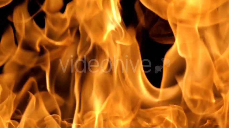 Flames of Fire on Black Background in Videohive 20316095 Motion Graphics Image 4