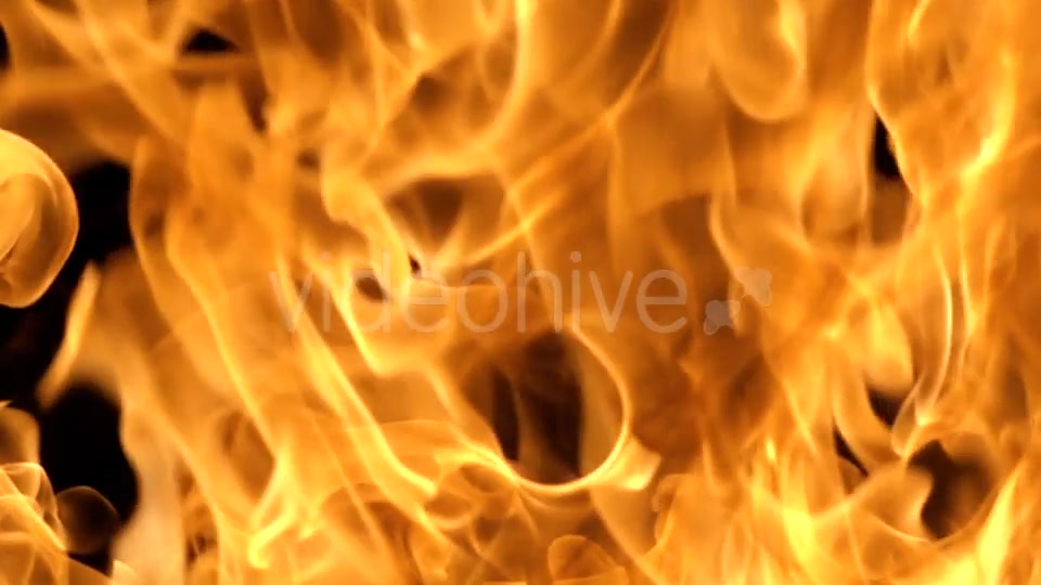 Flames of Fire on Black Background in Videohive 20316095 Motion Graphics Image 5