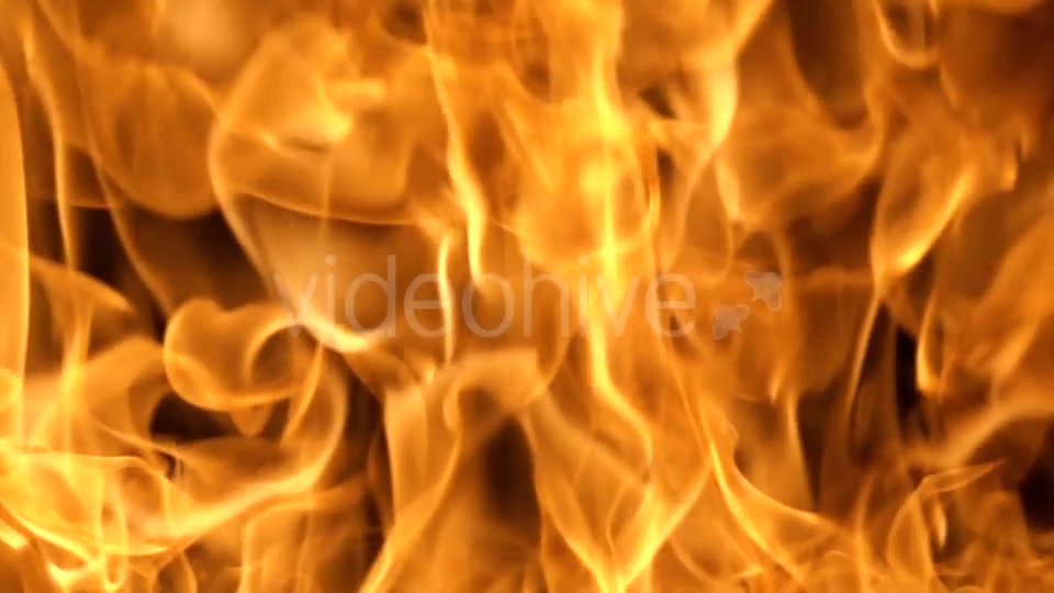Flames of Fire on Black Background in Videohive 20316095 Motion Graphics Image 6