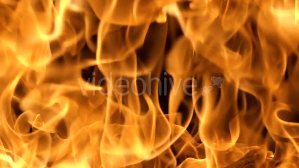 Flames of Fire on Black Background in Videohive 20316095 Motion Graphics Image 7