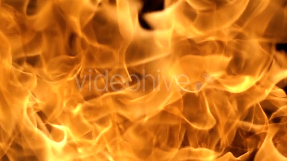 Flames of Fire on Black Background in Videohive 20316095 Motion Graphics Image 8