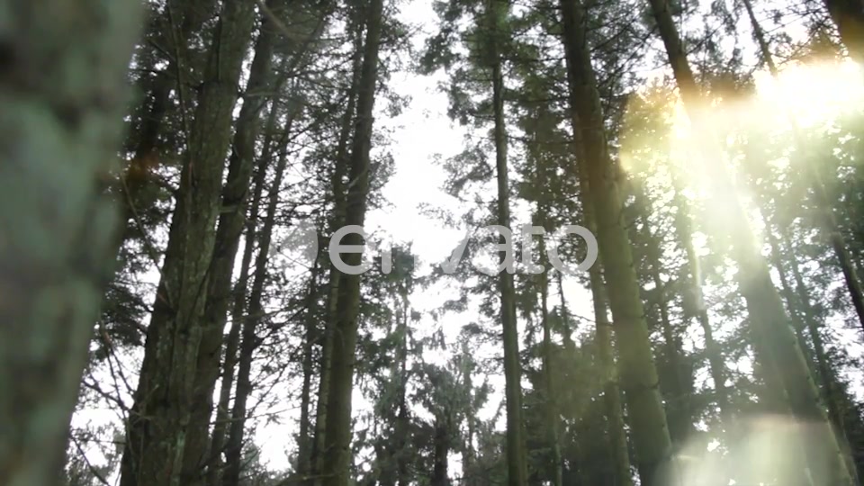 Flares and Light Leakes vol.1 Videohive 21564546 Motion Graphics Image 3