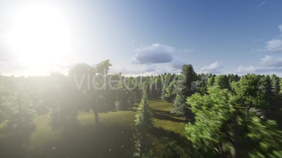 Flight over Forest During Sunrise Videohive 13200984 Motion Graphics Image 10