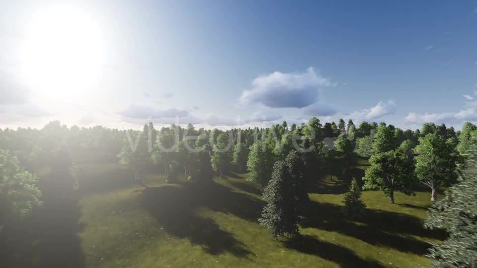 Flight over Forest During Sunrise Videohive 13200984 Motion Graphics Image 11