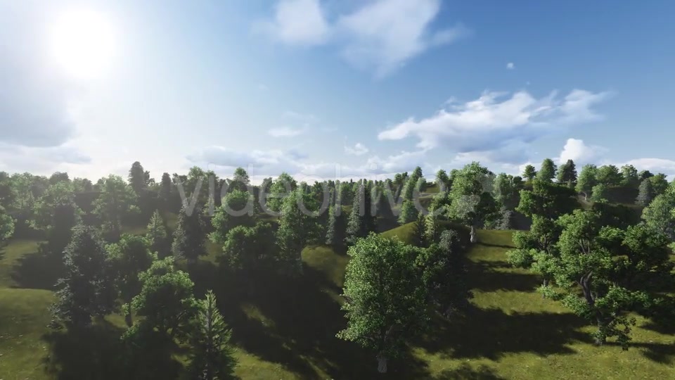 Flight over Forest During Sunrise Videohive 13200984 Motion Graphics Image 13