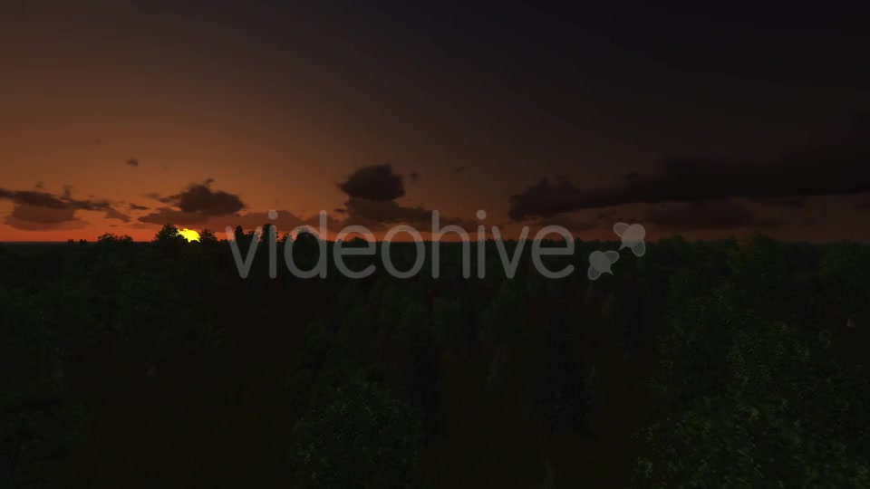 Flight over Forest During Sunrise Videohive 13200984 Motion Graphics Image 2