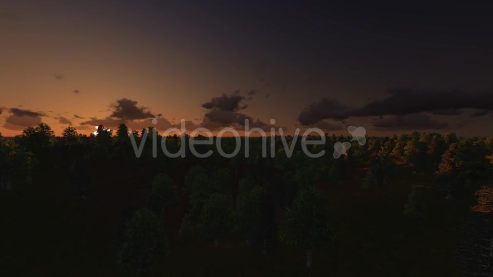 Flight over Forest During Sunrise Videohive 13200984 Motion Graphics Image 3