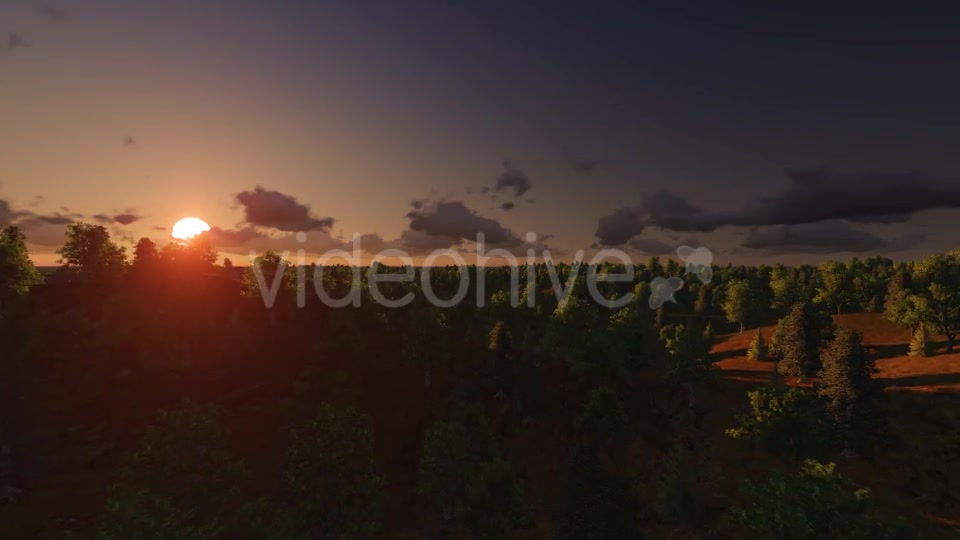 Flight over Forest During Sunrise Videohive 13200984 Motion Graphics Image 4