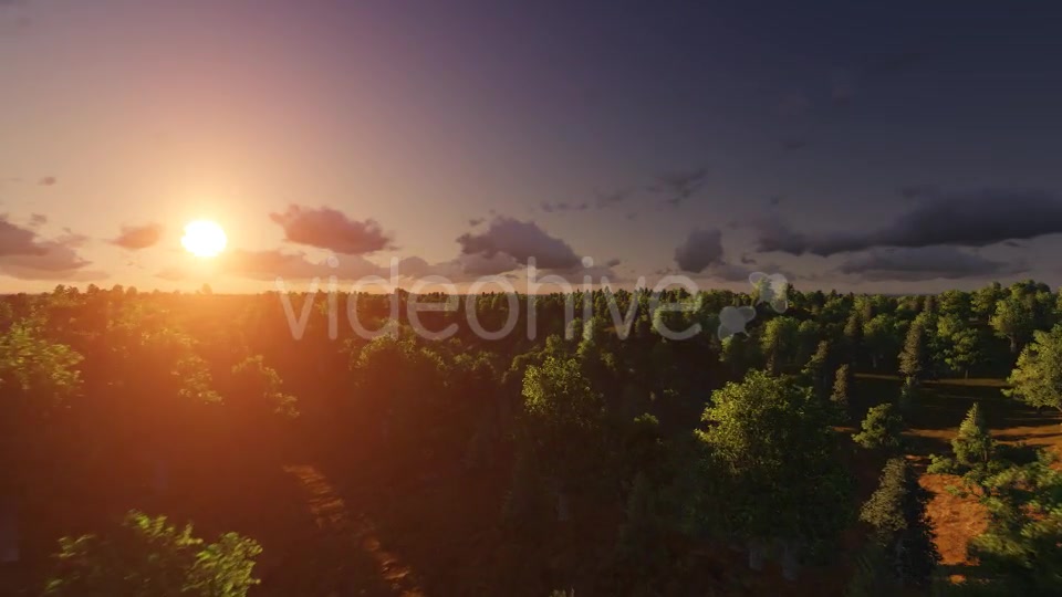 Flight over Forest During Sunrise Videohive 13200984 Motion Graphics Image 5